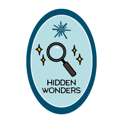 Hidden Wonders 2024
