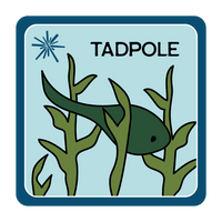  Tadpole swimming amidst sea kelp. 